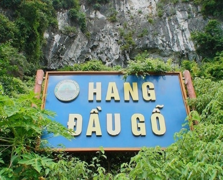 hang-dau-go-2_1628519735